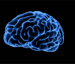 Cara Meningkatkan Ketajaman Otak
